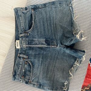 AGOLDE Parker Denim Cutoff Shorts
